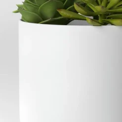 Succulent Arrangement In White Pot - Room Essentials™ -Wayfair Shop GUEST 00aec972 d4be 4f1a b05e ea90b105bc19