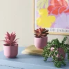 3pk 9.06" Succulent Artificial Plants Pink - Room Essentials™ -Wayfair Shop GUEST 00ef684a 5131 4e6a b887 925926f395dc