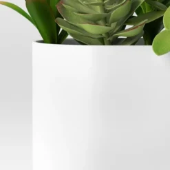 Succulent Arrangement In Long White Pot - Room Essentials™ -Wayfair Shop GUEST 1ef8d600 62b7 4beb b392 f457dc2a454d