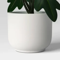 Core Plant Multipack In White Pot - Room Essentials™ -Wayfair Shop GUEST 23f0793d e482 4654 8d9f f43140e8c4d5