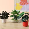 3pk 11.42" Pothos Artificial Plants - Room Essentials™ -Wayfair Shop GUEST 2acb68c8 fc4d 48bf b120 32a2e00b42d3