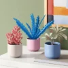 3pk 8.86" Succulent Artificial Plants Multicolor - Room Essentials™ -Wayfair Shop GUEST 2e885e3e c0ac 4e0d 877f ef2c6841e00e