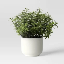 Herb Artificial Plant In White Pot - Room Essentials™ -Wayfair Shop GUEST 2fa8710c 5d5b 4f47 9af2 64f0071f7c52