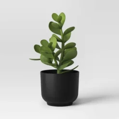 Succulent Artificial In Black Pot - Room Essentials™ -Wayfair Shop GUEST 39c4aa68 47f1 486e 8e41 5902428fe6c1