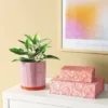 2pk Magnetic Lidded Decorative Boxes Pink - Room Essentials™ 2 2pk Magnetic Lidded Decorative Boxes Pink - Room Essentials™ -Wayfair Shop GUEST 3b603096 bf95 4500 83fb e4d76ca08cf6