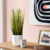 Grass Potted Artificial Plant - Room Essentials™ 2 Grass Potted Artificial Plant - Room Essentials™ -Wayfair Shop GUEST 3fcd3608 2e6d 44fa be71 67b594f1de03