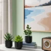 Succulent Artificial In Black Pot - Room Essentials™ -Wayfair Shop GUEST 4ac99444 ec3d 45f7 b016 441bb078726c