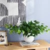 Pothos Potted Artificial Plant - Room Essentials™ -Wayfair Shop GUEST 684f0109 2c25 4203 a0c1 6c5f0e60a5a1