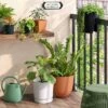 1gal Plastic Watering Can Versatile Green - Room Essentials™ -Wayfair Shop GUEST 6a7a7b2c 7854 454a b277 fb37c42f61cc