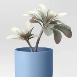 3pk 8.86" Succulent Artificial Plants Multicolor - Room Essentials™ 8 3pk 8.86" Succulent Artificial Plants Multicolor - Room Essentials™ -Wayfair Shop GUEST 713a3c74 4a66 4731 bccf 7c13c81b2f01