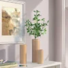 3pc Vase Set Ceramic Cylinder - Room Essentials™ 2 3pc Vase Set Ceramic Cylinder - Room Essentials™ -Wayfair Shop GUEST 85f043b3 4c1a 4d42 b238 0c0df0bc0068