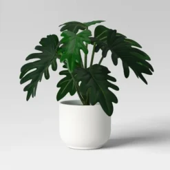 Core Plant Multipack In White Pot - Room Essentials™ -Wayfair Shop GUEST 87daa1fd 2e72 41a8 be61 554c95f53ec4