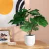 8"x9" Monstera Artificial Plant - Room Essentials™ -Wayfair Shop GUEST 888d41f0 4a82 4bff aa8f b7f6b00320e7