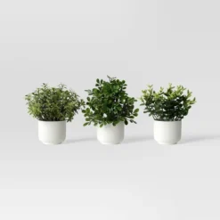 Herb Artificial Plant In White Pot - Room Essentials™ -Wayfair Shop GUEST 8f8cad37 de5b 41b2 926d 65320c060021