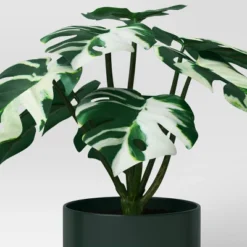 3pk 7.87" Monstera Artificial Plants - Room Essentials™ -Wayfair Shop GUEST b353e242 fcb5 4c4c affc ddf91298a192