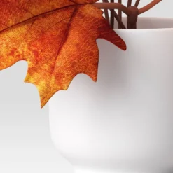 Maple Leaf Mini Arrangement - Room Essentials™ 7 Maple Leaf Mini Arrangement - Room Essentials™ -Wayfair Shop GUEST b784f08a b271 467a 9353 824d945bf6d0