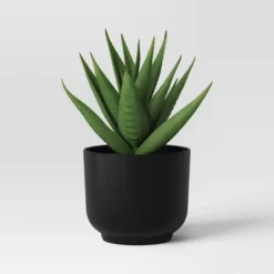 Succulent Artificial In Black Pot - Room Essentials™ -Wayfair Shop GUEST c7ed3c07 877b 46f8 9f0f 6652f4efa560