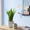 Snake Artificial Potted Plant - Room Essentials™ -Wayfair Shop GUEST ca9737ab d9c9 41c9 80ff 00b0f0ff5180