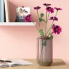 Glass Pill Vase - Room Essentials™ -Wayfair Shop GUEST d862797e 750a 46c7 8568 9dd65731c21a