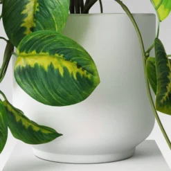 Trailing Prayer Artificial Plant - Room Essentials™ -Wayfair Shop GUEST d8ed9869 ac8b 4597 9abc cafd2f3469ed