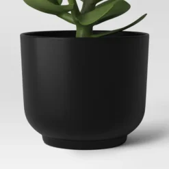 Succulent Artificial In Black Pot - Room Essentials™ -Wayfair Shop GUEST e1e9854e 78dc 4f17 bc3a 8dcfcf1bacab