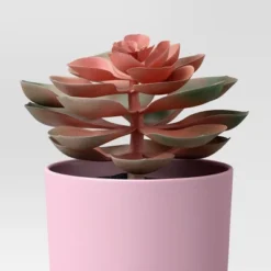 3pk 9.06" Succulent Artificial Plants Pink - Room Essentials™ -Wayfair Shop GUEST ea051b3d fab8 422e 9832 f1b4ec087c33