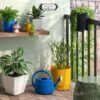 2gal Plastic Watering Can Cobalt Blue - Room Essentials™ -Wayfair Shop GUEST ff91986a 3a0b 4b3b 8ead 4924cf5f4ccd